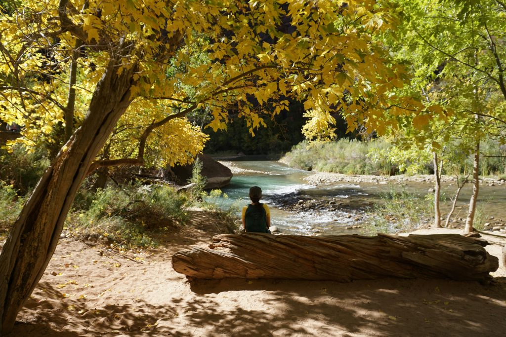 nature-mindfulness-youth-wellness
